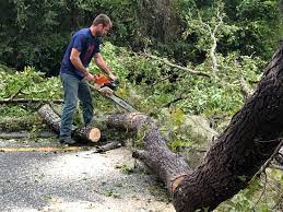 Best Lot and Land Clearing  in Fairfield Harbour, NC